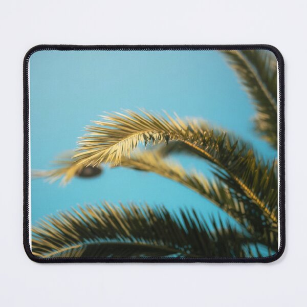 Item preview, Fern Leafs Blue Sky Photographic Print designed and sold by Mother-Nature65.