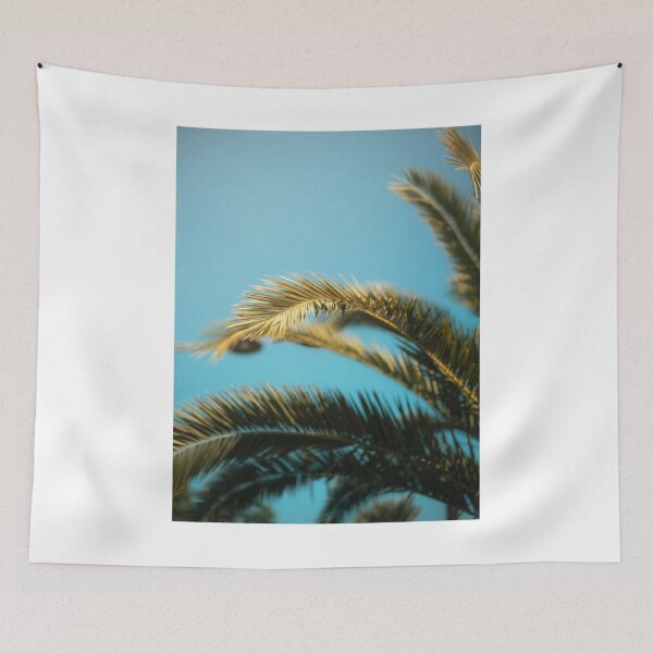 Item preview, Fern Leafs Blue Sky Photographic Print designed and sold by Mother-Nature65.