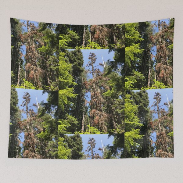 Item preview, Lost lake forest  designed and sold by Beau Gordon.
