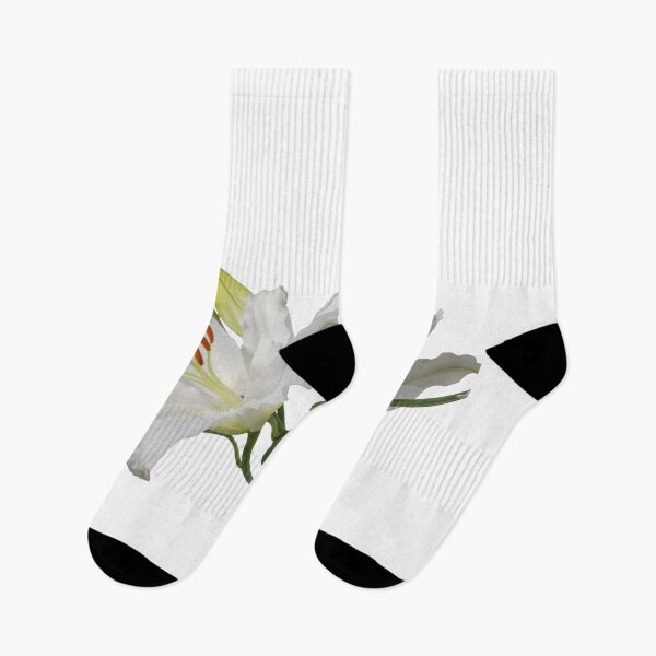 Artikelvorschau, Elegante florale Pfingstrosen-Linienzeichnung entworfen und verkauft von DraftDose.