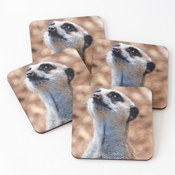 Item preview, Suricata, Tropiquaria, Somerset designed and sold by RJKYTE1970.