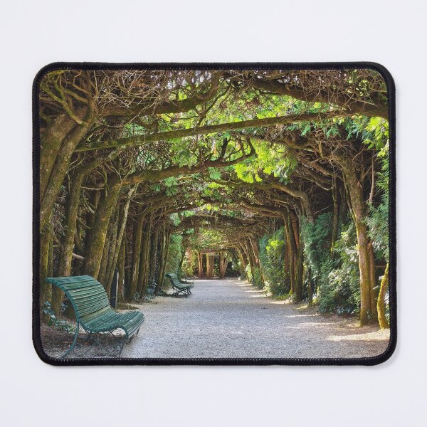 Item preview, The Living Canopy: Authentic Garden Path in Hautefort, France designed and sold by Kainicram.