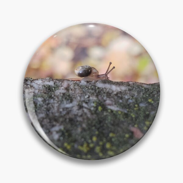 Item preview, The Tiniest Snail designed and sold by AmazingAmanda42.