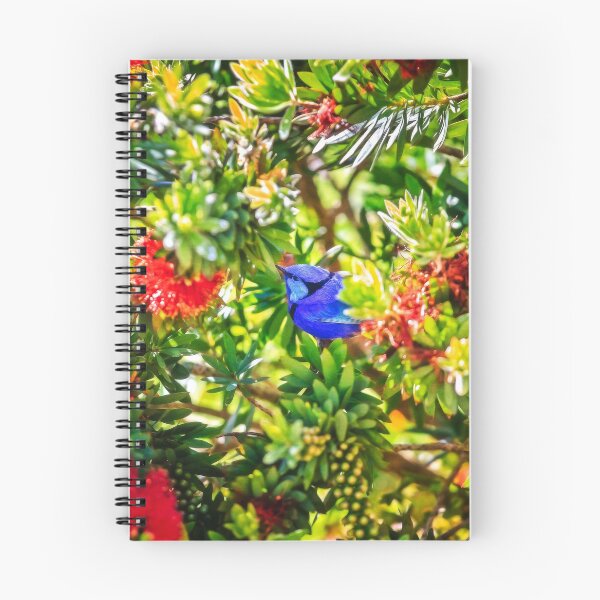Item preview, Blue Wren in a Bottle Brush, Margaret River, Perth, Western Australia designed and sold by Dave Catley.