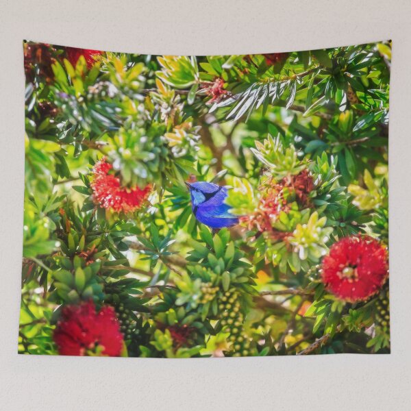 Item preview, Blue Wren in a Bottle Brush, Margaret River, Perth, Western Australia designed and sold by Dave Catley.