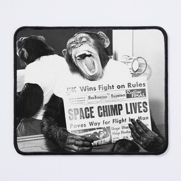 Item preview, Vintage astronaut space chimp lives funny black and white photograph poster art print designed and sold by Astrid Arkhangelsky.