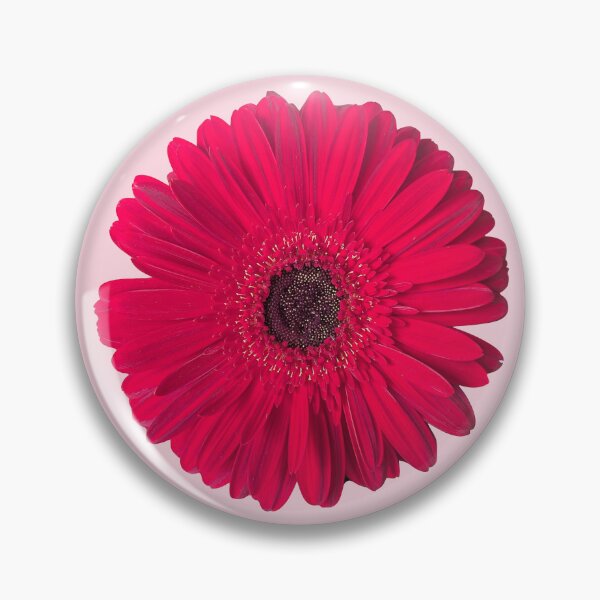 Item preview, Luxury Red Gerbera Daisy or Transvaal Daisy Shapes Mania designed and sold by Shapes-Mania.