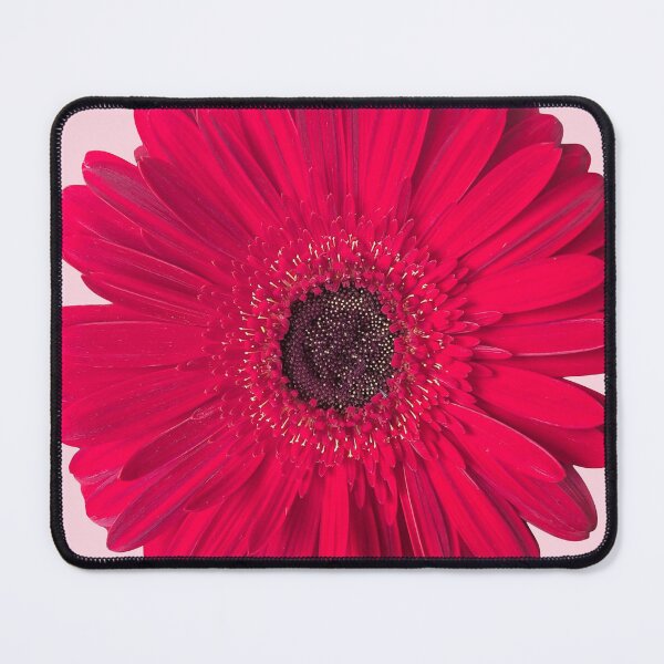 Item preview, Luxury Red Gerbera Daisy or Transvaal Daisy Shapes Mania designed and sold by Shapes-Mania.