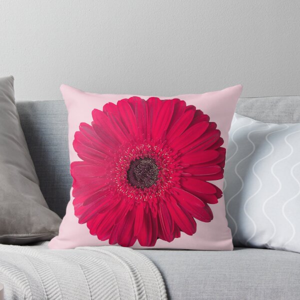 Item preview, Luxury Red Gerbera Daisy or Transvaal Daisy Shapes Mania designed and sold by Shapes-Mania.