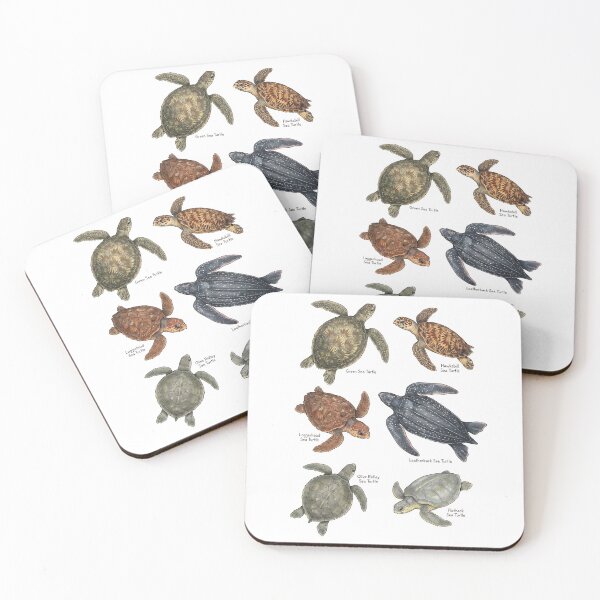 Item preview, Vintage Turtles Definition Sea Animal Ocean Nature Anatomy designed and sold by DoodleTortle.