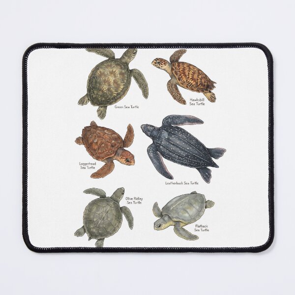 Item preview, Vintage Turtles Definition Sea Animal Ocean Nature Anatomy designed and sold by DoodleTortle.
