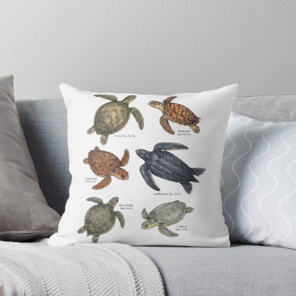 Item preview, Vintage Turtles Definition Sea Animal Ocean Nature Anatomy designed and sold by DoodleTortle.