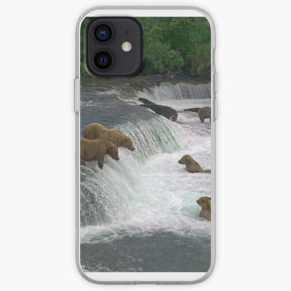 Brown Bears, Brooks Falls, Brooks River, Katmai National Park, Alaska iPhone Soft Case