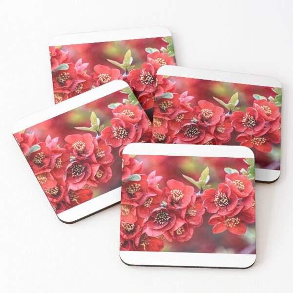 Item preview, Spring Flowers designed and sold by StylishDecor.