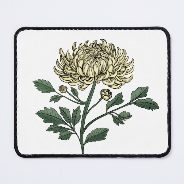 Item preview, White Chrysanthemum Botanical Illustration Vintage Japanese Style designed and sold by Nekogobido.