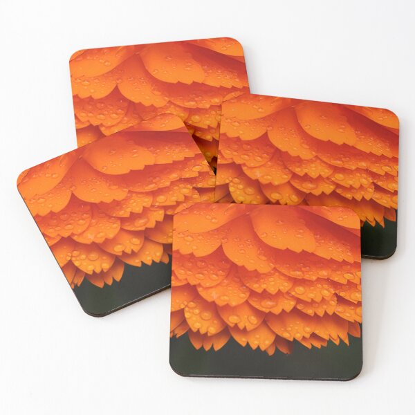 Item preview, An English marigold in Southern France designed and sold by Paul Pasco.