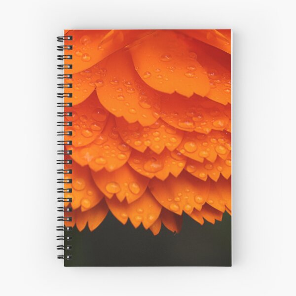 Item preview, An English marigold in Southern France designed and sold by Paul Pasco.