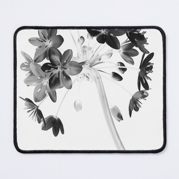 Item preview, Pre Digital designed and sold by Paul Pasco.