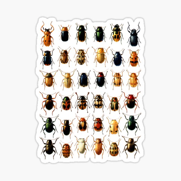 Item preview, Insect Specimens designed and sold by monsterplanet.