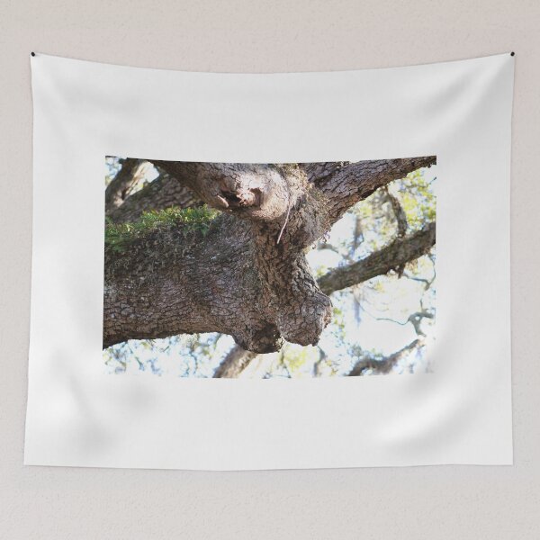 Item preview, Moose Face Tree Bark designed and sold by Cynthia48.