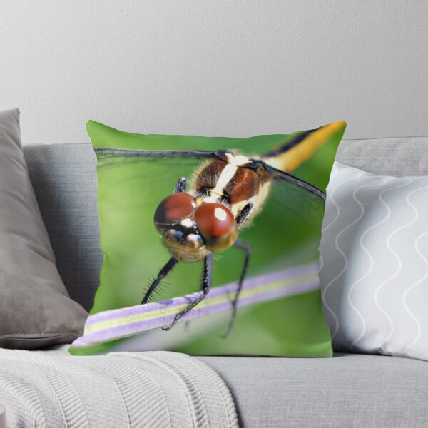Item preview, Smiling Skimmer designed and sold by What I See by Dawne.