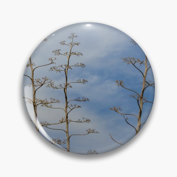 Item preview, Tall Agave Flower Stalks Against Blue Sky With Sparse Branches and Minimalist Composition designed and sold by Nmallia.
