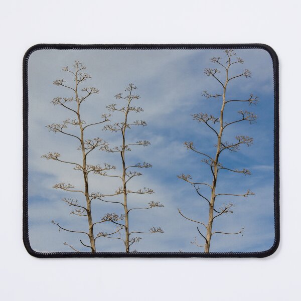 Item preview, Tall Agave Flower Stalks Against Blue Sky With Sparse Branches and Minimalist Composition designed and sold by Nmallia.