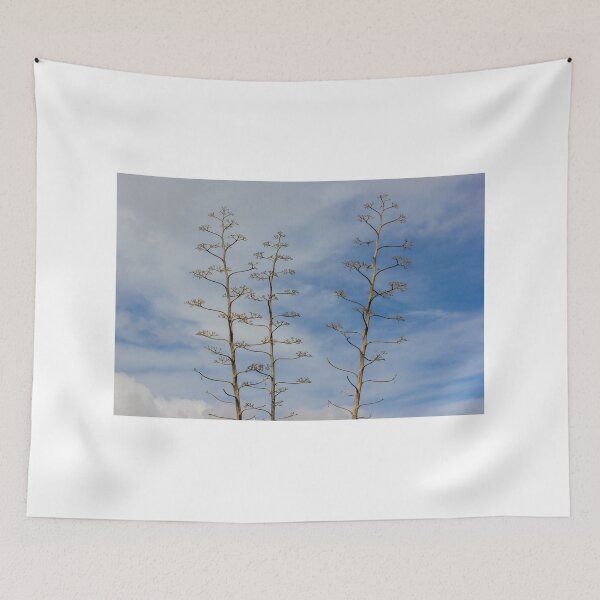 Item preview, Tall Agave Flower Stalks Against Blue Sky With Sparse Branches and Minimalist Composition designed and sold by Nmallia.