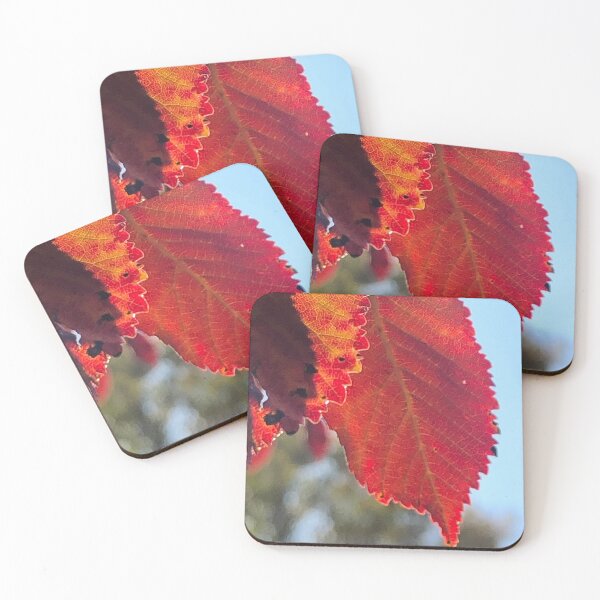 Item preview, red leaves photograph designed and sold by GiSilver.