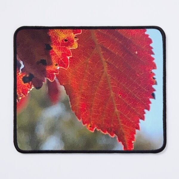 Item preview, red leaves photograph designed and sold by GiSilver.