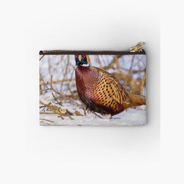 Item preview, Giving the look. Ring-necked Pheasant Winter 2026 designed and sold by Jouko Lehto Photography.