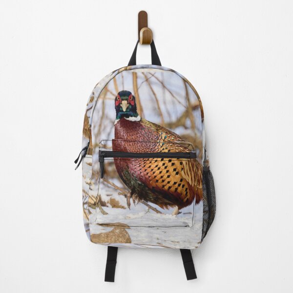 Item preview, Giving the look. Ring-necked Pheasant Winter 2026 designed and sold by Jouko Lehto Photography.