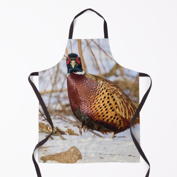 Item preview, Giving the look. Ring-necked Pheasant Winter 2026 designed and sold by Jouko Lehto Photography.