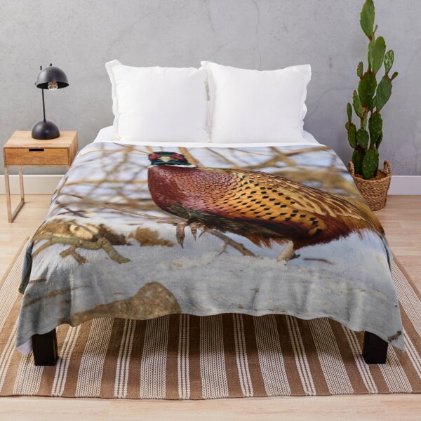 Item preview, Giving the look. Ring-necked Pheasant Winter 2026 designed and sold by Jouko Lehto Photography.