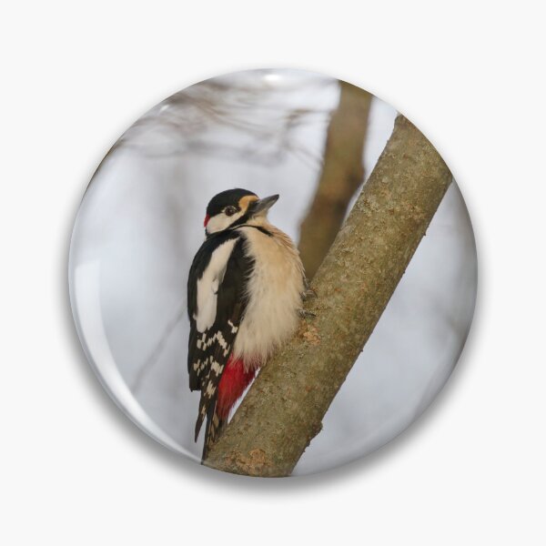 Item preview, Moment of wonder. Great spotted woodpecker Winter 2026 designed and sold by Jouko Lehto Photography.