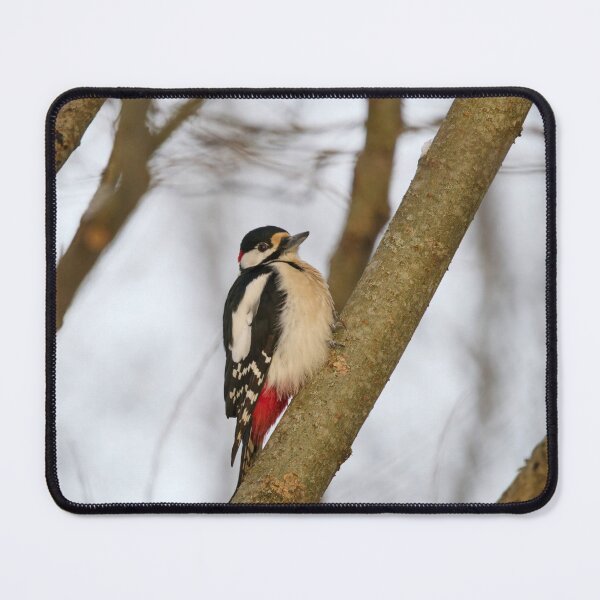 Item preview, Moment of wonder. Great spotted woodpecker Winter 2026 designed and sold by Jouko Lehto Photography.