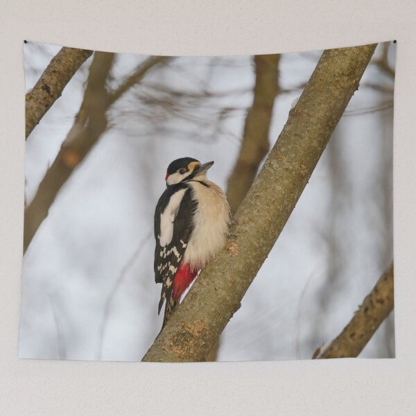 Item preview, Moment of wonder. Great spotted woodpecker Winter 2026 designed and sold by Jouko Lehto Photography.