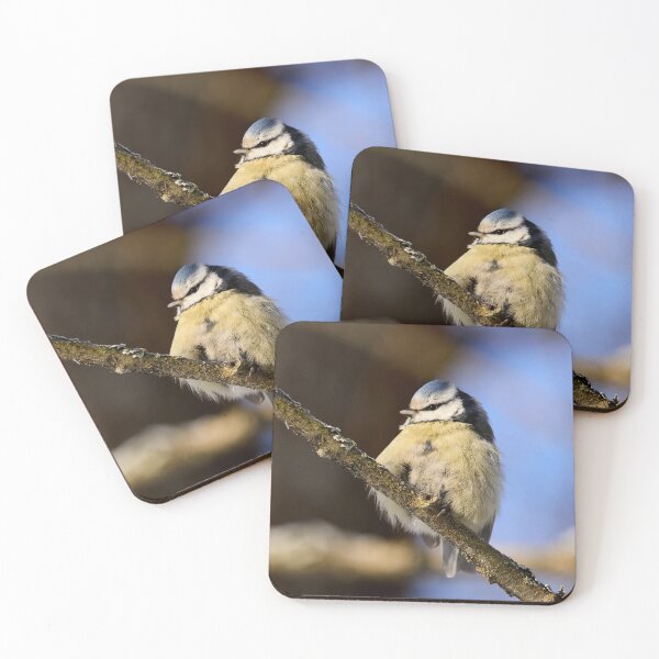 Item preview, Cold. Blue tit Winter 2026 designed and sold by Jouko Lehto Photography.