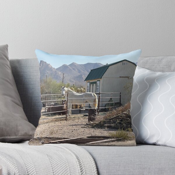 Artikelvorschau, Sonoran Desert Ranch entworfen und verkauft von Alice Kahn.