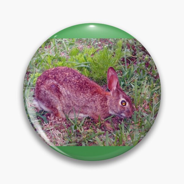 Item preview, Cute as a bunny designed and sold by B. Randi Bailey.