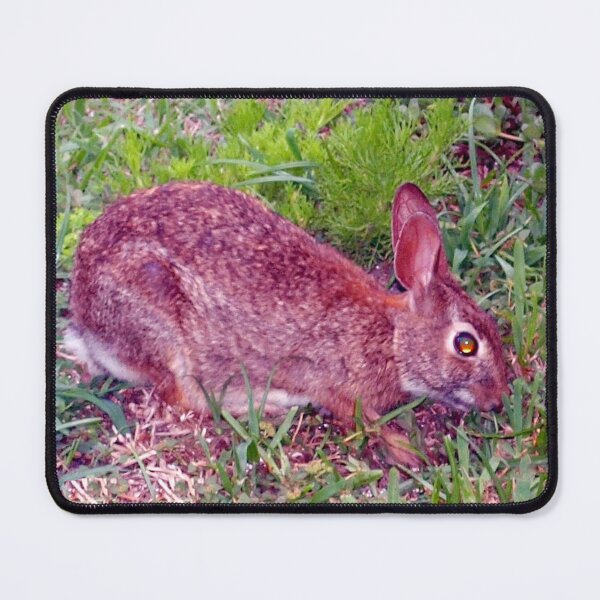 Item preview, Cute as a bunny designed and sold by B. Randi Bailey.