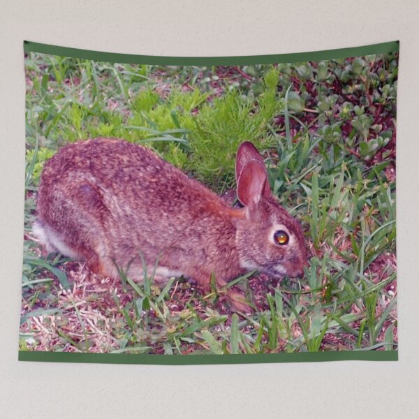 Item preview, Cute as a bunny designed and sold by B. Randi Bailey.