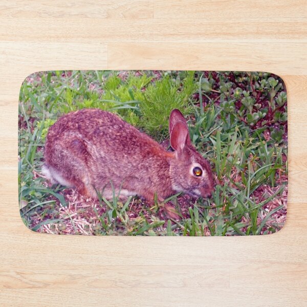 Item preview, Cute as a bunny designed and sold by B. Randi Bailey.
