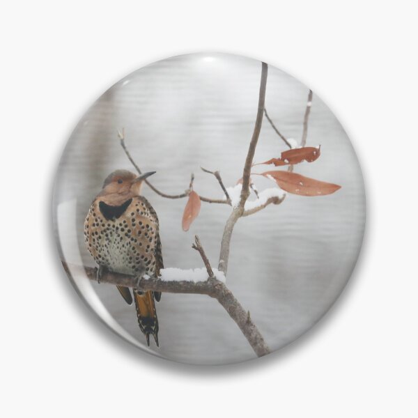 Item preview, Northern Flicker in Winter designed and sold by Alice Kahn.