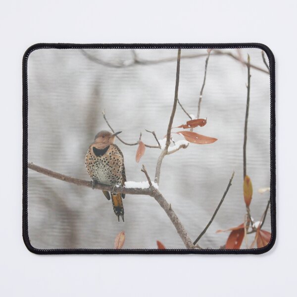 Item preview, Northern Flicker in Winter designed and sold by Alice Kahn.