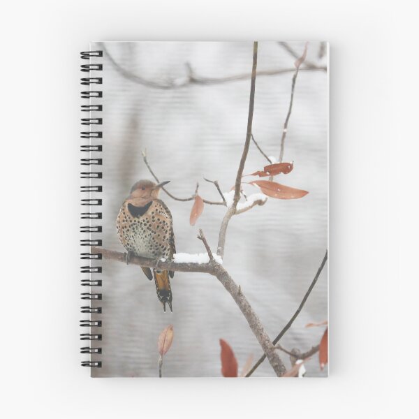 Item preview, Northern Flicker in Winter designed and sold by Alice  Becky Kahn.