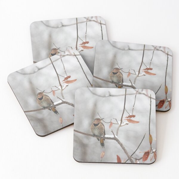 Item preview, Northern Flicker in Winter designed and sold by Alice Kahn.