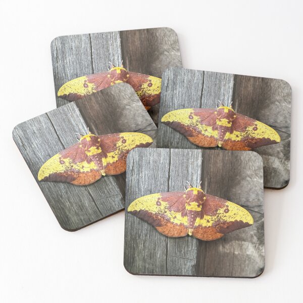 Item preview, Imperial Moth designed and sold by Alice Kahn.