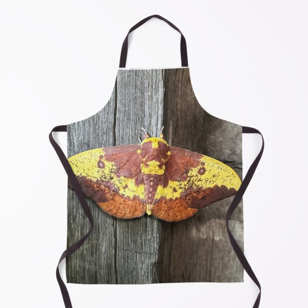 Item preview, Imperial Moth designed and sold by Alice Kahn.
