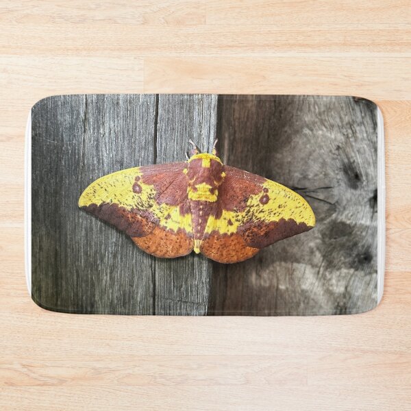 Item preview, Imperial Moth designed and sold by Alice Kahn.